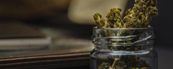 Fleurs de CBD
