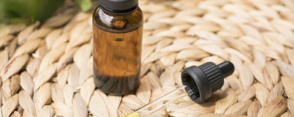 Le CBD, cette molécule qui attise la curiosité